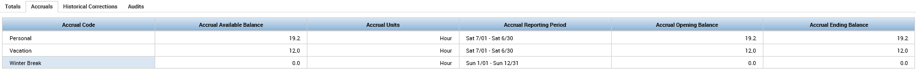 Example view of paid time off balances