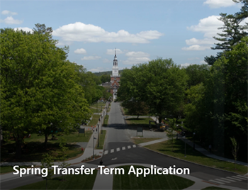 Spring Transfer Term Application